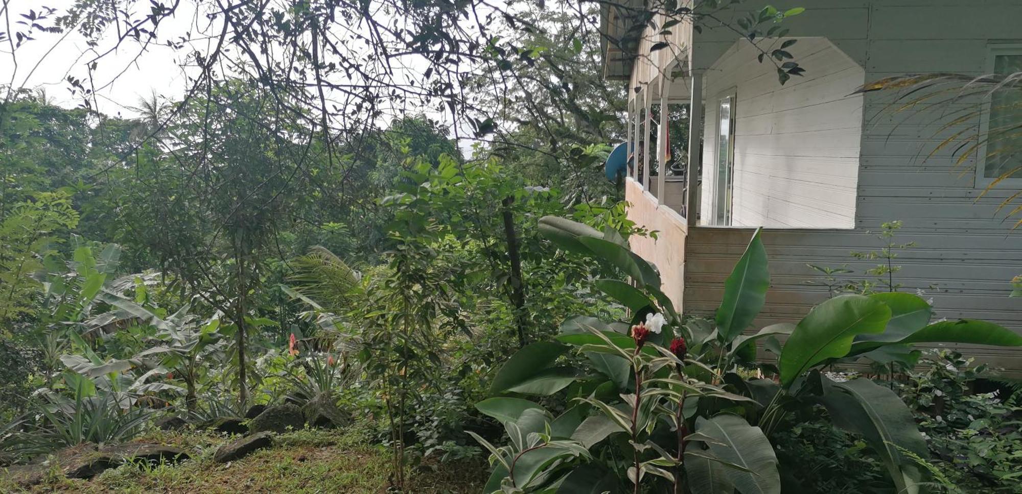 Вилла Casa De Andrea Santo Antonio Экстерьер фото
